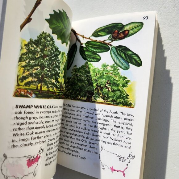 Trees Field Guide Plants botany Golden Guides St. Martin's Press BOOKSHARK - Picture 9 of 14